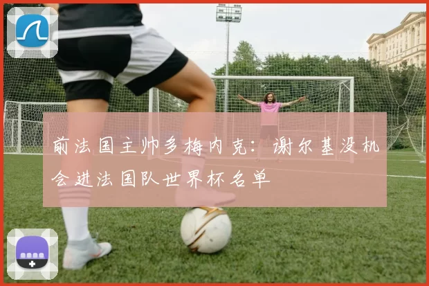 前法国主帅多梅内克：谢尔基没机会进法国队世界杯名单