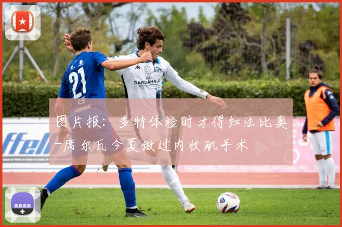 图片报：多特体检时才得知法比奥-席尔瓦今夏做过内收肌手术