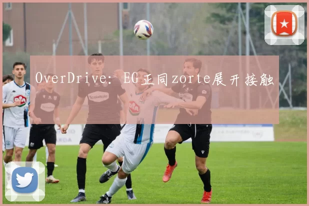 OverDrive：EG正同zorte展开接触