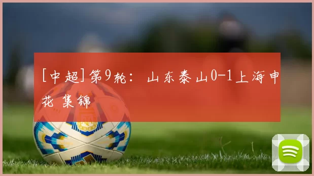 [中超]第9轮：山东泰山0-1上海申花 集锦