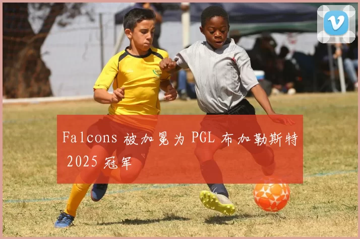 Falcons 被加冕为 PGL 布加勒斯特 2025 冠军