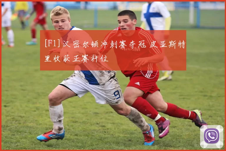 [F1]汉密尔顿冲刺赛夺冠 皮亚斯特里收获正赛杆位