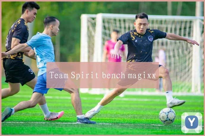 Team Spirit bench magixx
